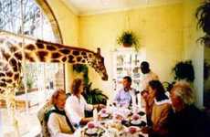 Giraffe Manor