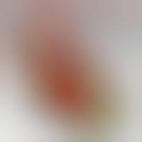Isabella Fiore Voodoo Wedge