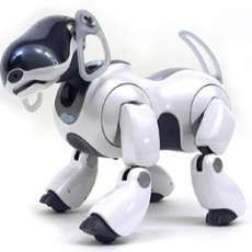 Sony Aibo ERS-7M2 $2000 Robotic Dogs