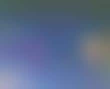 Bottled Water For Dogs