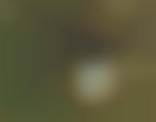 iPod Ad Visibile From Space