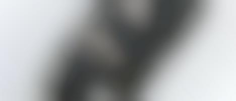 Nokia and WESC Launch Nokia 3250 WESC Limited Edition