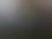 Saudi Sex Changes
