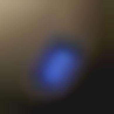 Scrolling LED Dog Tag