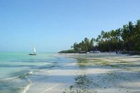 Gemma del Est Zanzibar: Paradise in Africa Image 2