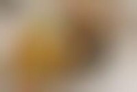 $5000 Hamburger Image 1