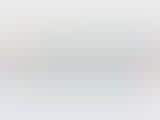 Web searching using voice recognition.  Ask Google?