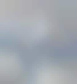 Fiat Introduces Cellphone Line