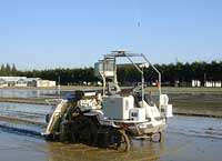 Rice Planting Robot