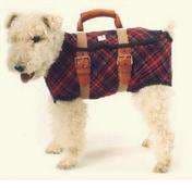 Doggie Bag