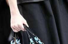 Pricey Purses