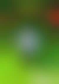 World Cup Marketing Mania