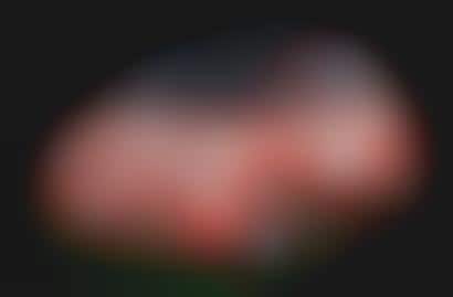 Fiat Cinquecento Strikes Back