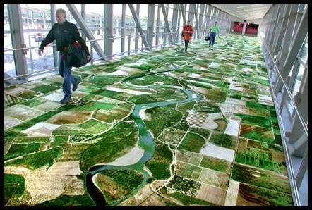 Digital Printed Floors and Wallpaper