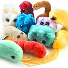 Bacteria Toys