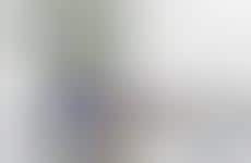 R/C Insect