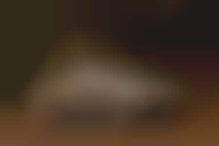 Range Rover a la Detroit