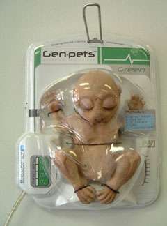 Genpets Foolery