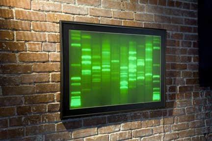 Your DNA as Art