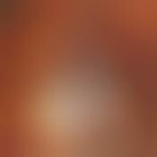 Web Dating For Orangutans