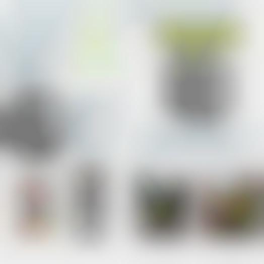 ShotCodes