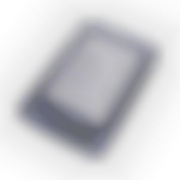 Sony Portable Reader System with Electronic Ink