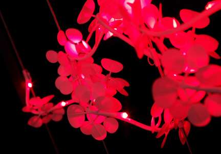 Organic Lighting