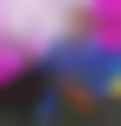 Celebs On YouTube