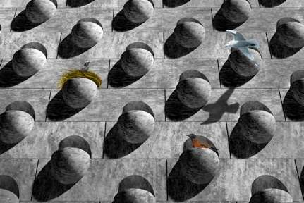 Dynamic Surfaces
