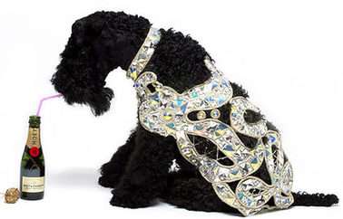&Acirc;&pound;2,500 Diamond Dog Coat