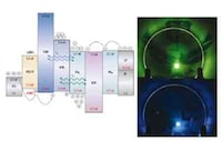 Light Up With Salmon Sperm Image 2