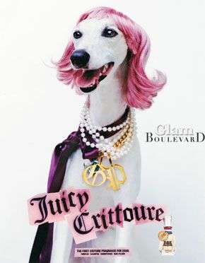 Juicy Couture Dog Line