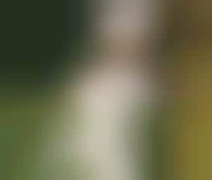 Controversially Viral