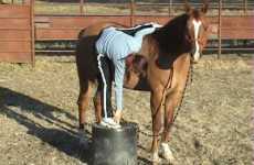 Yoga For Equestrians