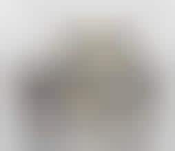 Guilt Free Chocolate