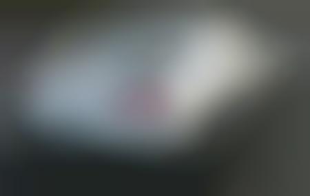 Nissan Photo Leak