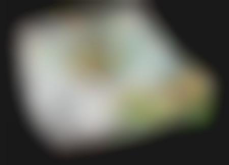 Pizza Box Comes With Condom