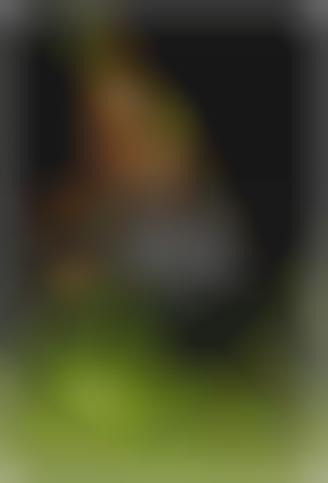 Ethical Fashion Show