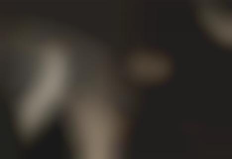 Sustainable Luxury Fashion