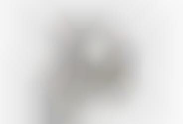 Eco Chic Parisian Travel