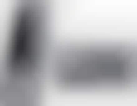 First Real Phone/Camera Hybrid