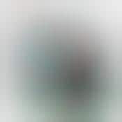 Pirates Inspired Playset