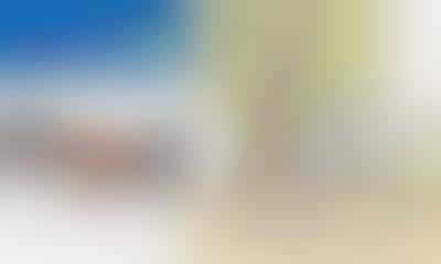 Social Networking at Work