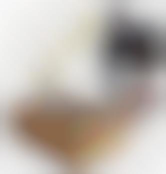 Recycled Wine Crate As Dog Bowl