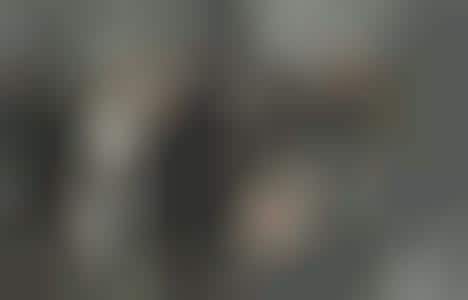 Book Hits TV, Then Tackles Fashion