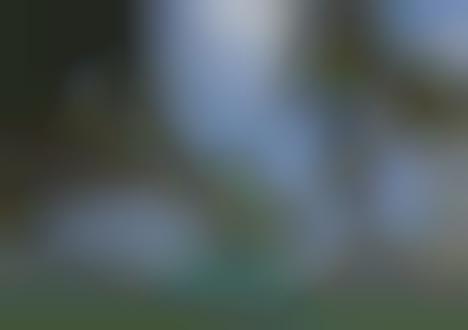 Hip Retreats for the Affluent