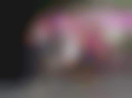 Stiletto Sprinting (Follow-Up)