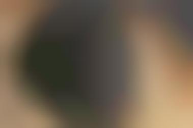 King Tut's Face Revealed For First Time