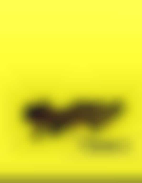 Death of Travel Guides?