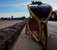 Bamboo Velomobiles Image 2